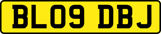 BL09DBJ