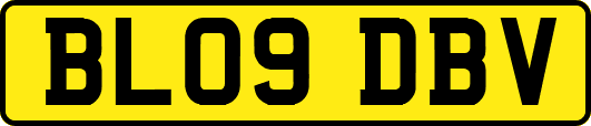 BL09DBV