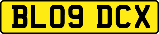 BL09DCX