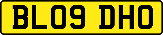 BL09DHO