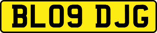 BL09DJG