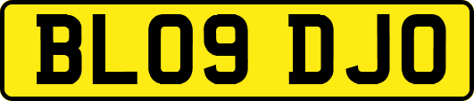BL09DJO