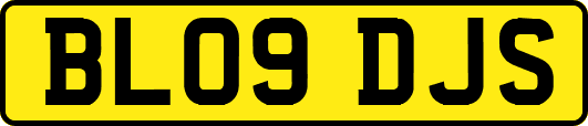 BL09DJS