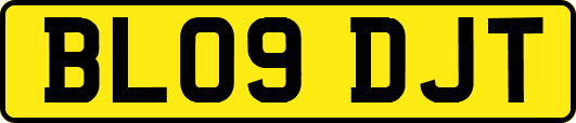 BL09DJT