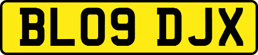 BL09DJX