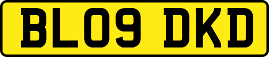 BL09DKD