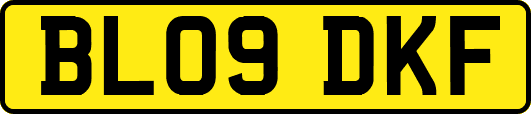 BL09DKF