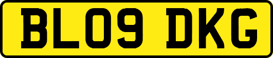 BL09DKG