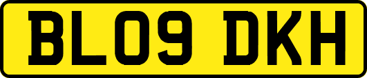 BL09DKH