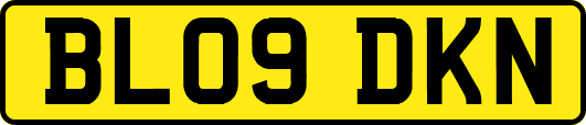 BL09DKN