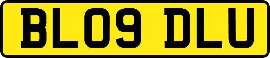 BL09DLU