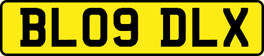 BL09DLX