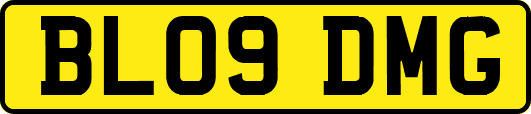 BL09DMG