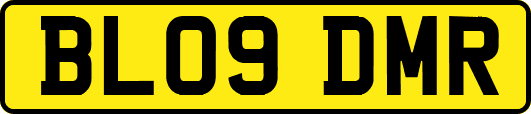 BL09DMR