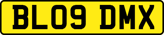 BL09DMX