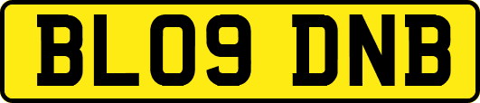 BL09DNB