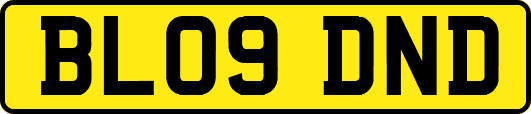BL09DND