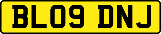 BL09DNJ