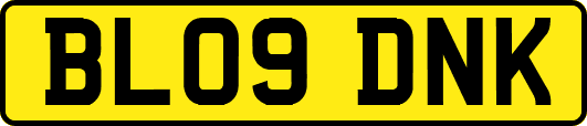 BL09DNK