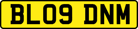 BL09DNM