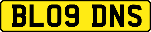 BL09DNS