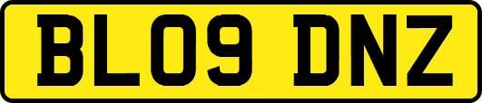BL09DNZ