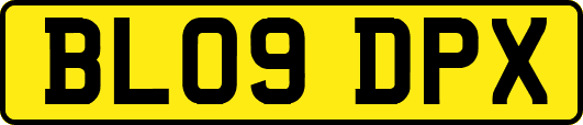 BL09DPX