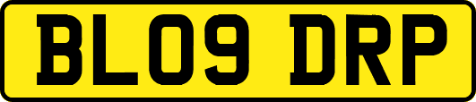 BL09DRP