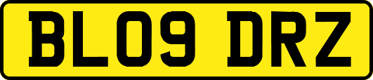 BL09DRZ