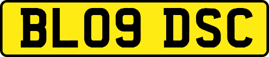 BL09DSC