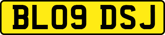 BL09DSJ