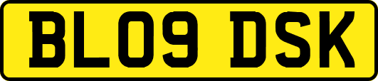 BL09DSK