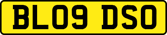 BL09DSO