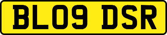 BL09DSR
