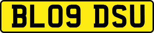 BL09DSU