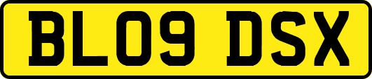 BL09DSX