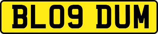 BL09DUM