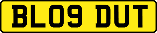 BL09DUT