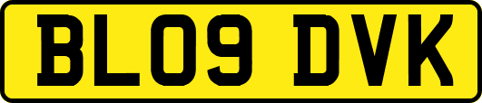 BL09DVK
