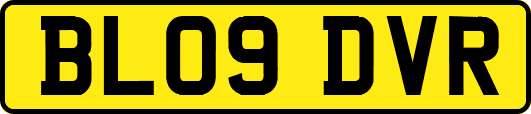 BL09DVR