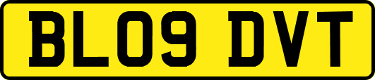 BL09DVT