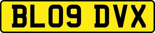BL09DVX