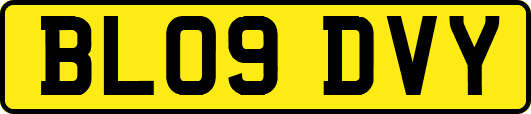 BL09DVY