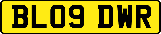 BL09DWR