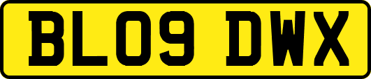 BL09DWX