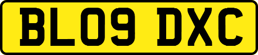 BL09DXC
