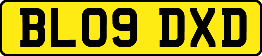 BL09DXD
