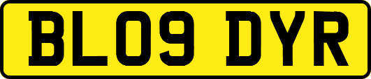 BL09DYR