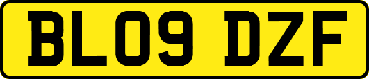 BL09DZF