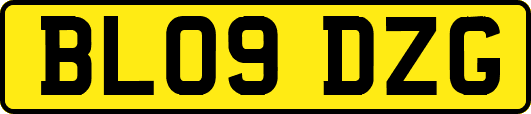 BL09DZG